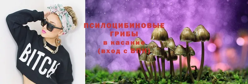 Псилоцибиновые грибы Cubensis  цены   Карабаш 